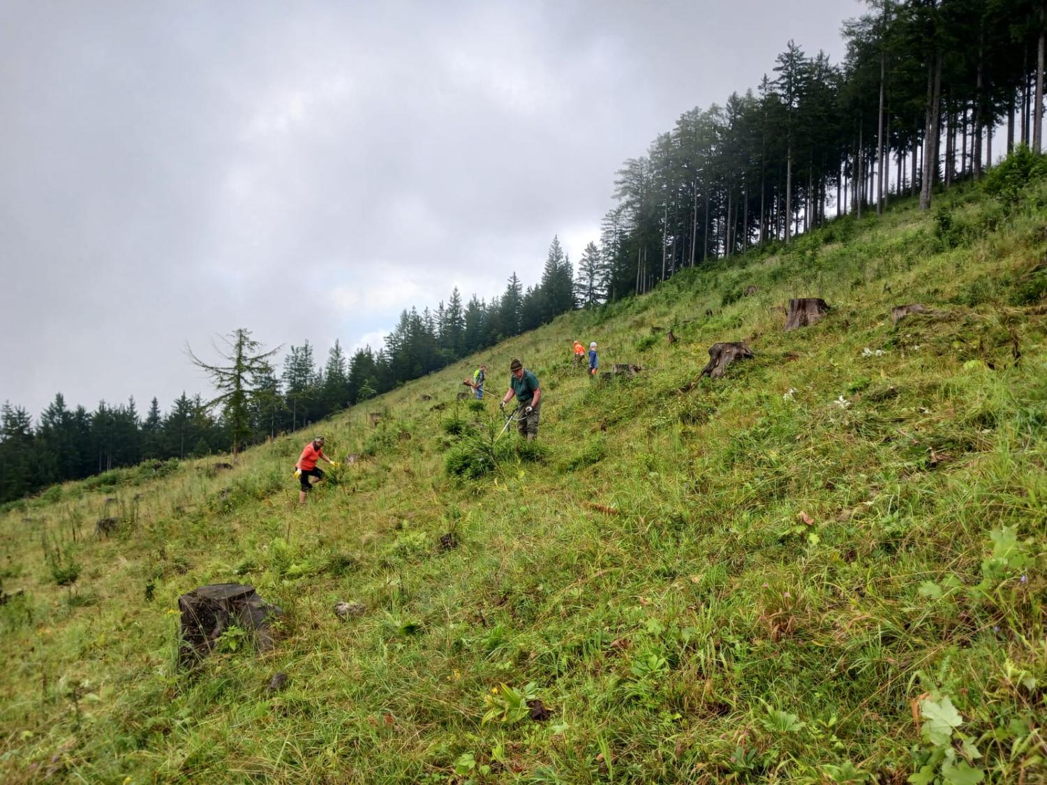 10. Tag der Almen auf der Winteralm