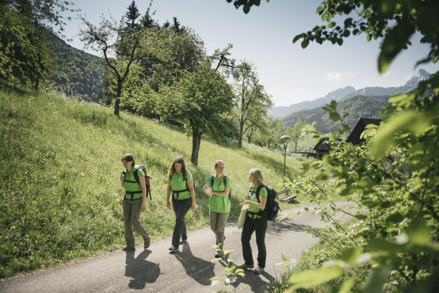 Jobausschreibung: Reisebüromitarbeiter:in Jobausschreibung: Reisebüromitarbeiter:in
