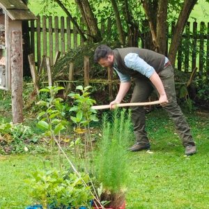 Museumsfest und KAR klimafitter Baumbasar