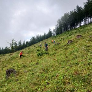 10. Tag der Almen auf der Winteralm