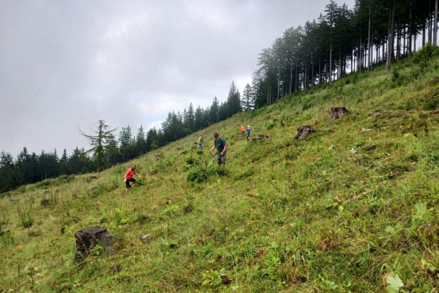 10. Tag der Almen auf der Winteralm