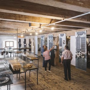 Neue Ausstellung „Wald:Welten“ im Forstmuseum Silvanum