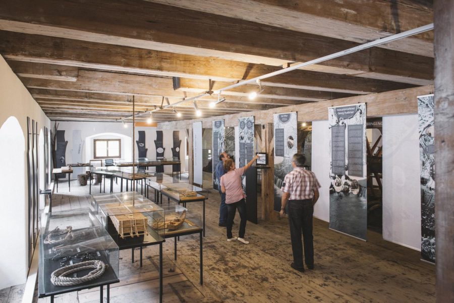 Neue Ausstellung „Wald:Welten“ im Forstmuseum Silvanum