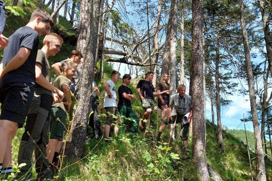 Wald schützt – KLAR! Exkursion in den Objektschutzwald Rauchmäuer gibt spannende Einblicke Wald schützt – KLAR! Exkursion in den Objektschutzwald Rauchmäuer gibt spannende Einblicke