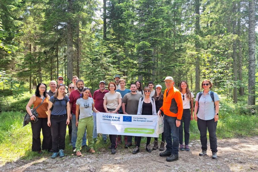Internationales Forstprojekt „Healthy Forest Regions“ tagte im Natur- und Geopark Steirische Eisenwurzen Internationales Forstprojekt „Healthy Forest Regions“ tagte im Natur- und Geopark Steirische Eisenwurzen