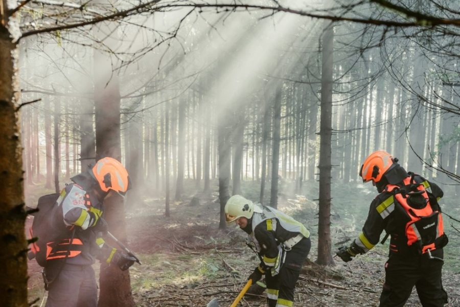 Abschnittsübergreifende Waldbrandübung in Altenmarkt bei St. Gallen Abschnittsübergreifende Waldbrandübung in Altenmarkt bei St. Gallen