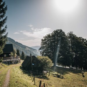 Idyllische Almen | Foto © Stefan Leitner