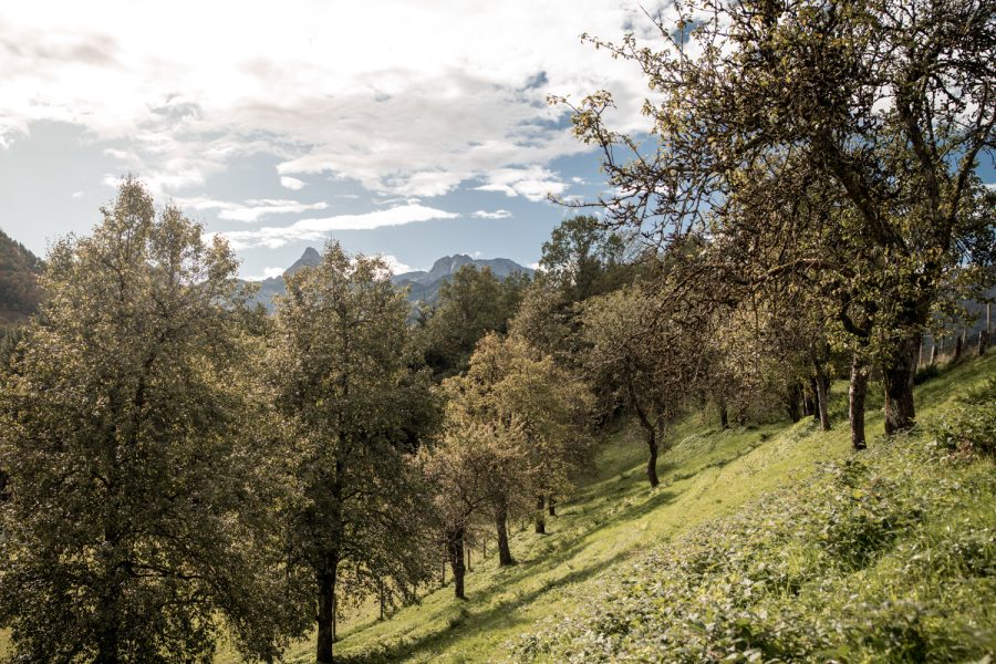 Kulturlandschaft festigen