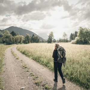 Wiesen und Weiden in den Tälern | Foto © Stefan Leitner