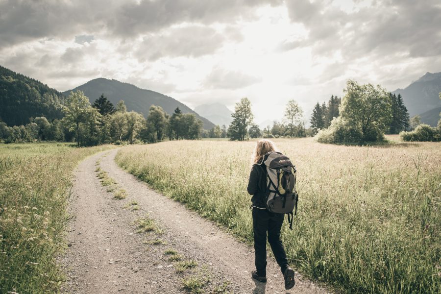 Wiesen und Weiden in den Tälern Wiesen und Weiden in den Tälern