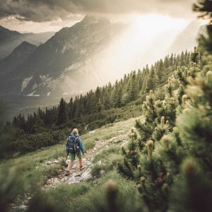 Fels- und Schuttflora | Foto © Stefan Leitner