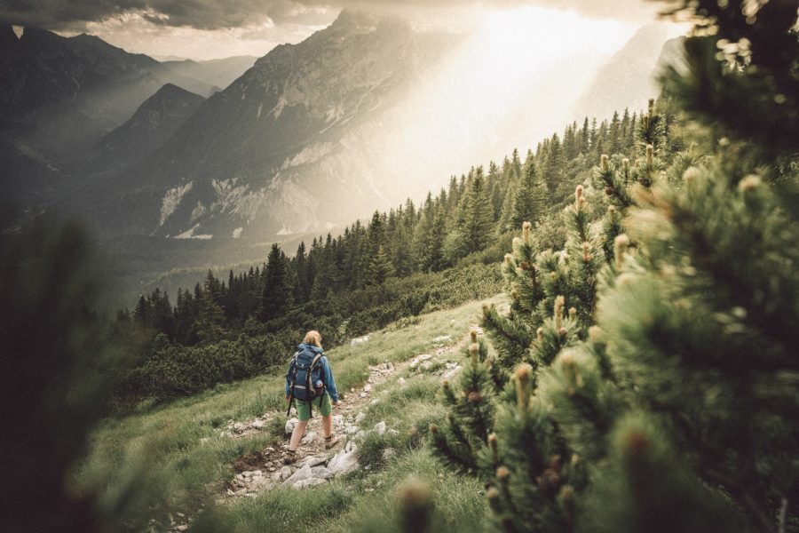 Fels- und Schuttflora