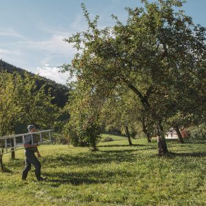 Streuobst © Stefan Leitner