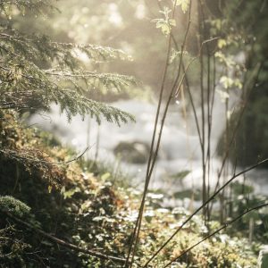 Mühlbach | Foto © Stefan Leitner