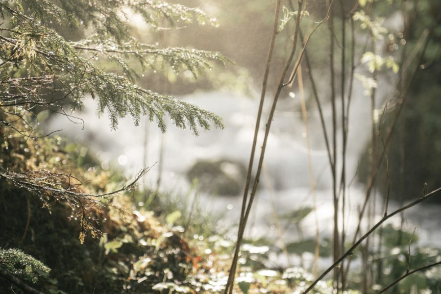 Mühlbach – ein rauschender Gebirgsbach