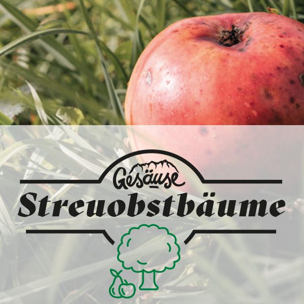 Streuobstbäume Natur- & Geopark Steirische Eisenwurzen Streuobstbäume Natur- & Geopark Steirische Eisenwurzen