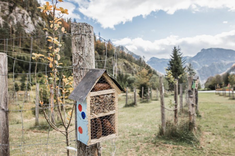 Streuobstwiese © Thomas Sattler Streuobstwiese © Thomas Sattler