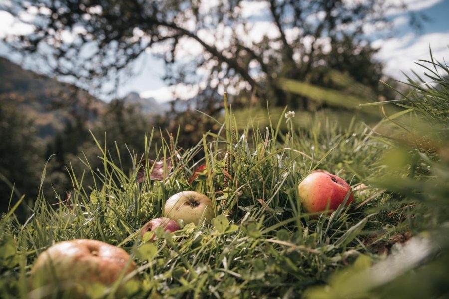 LA21 Klimafitte Landschaftspflege