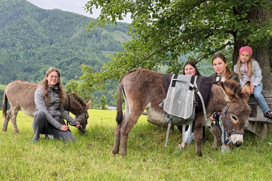 Sommererlebnistage im Naturpark Steirische Eisenwurzen