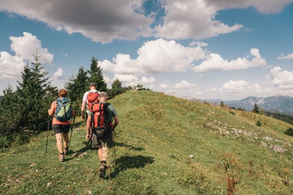Buchenberg | Foto © Stefan Leitner