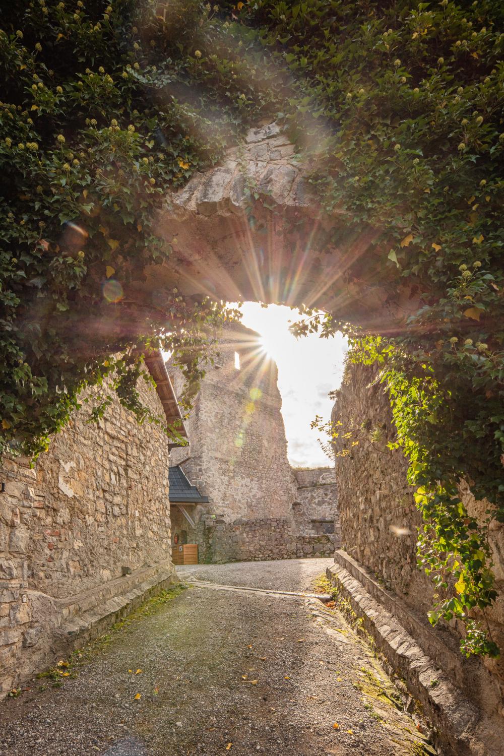 Burg Gallenstein bei Nacht erleben | Foto © Thomas Sattler Burg Gallenstein bei Nacht erleben | Foto © Thomas Sattler