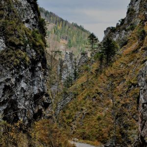 Spitzenbachklamm | Foto © Thomas Sattler