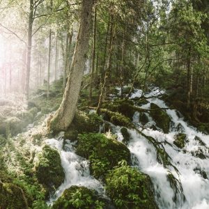 Kläfferquelle in Wildalpen | Foto © Stefan Leitner