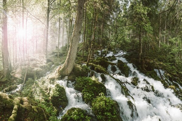 Kläfferquelle in Wildalpen | Foto © Stefan Leitner