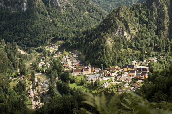 Wildalpen | Foto © Stefan Leitner