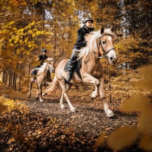 Reiterhof Laussabauer | Foto © Stefan Leitner