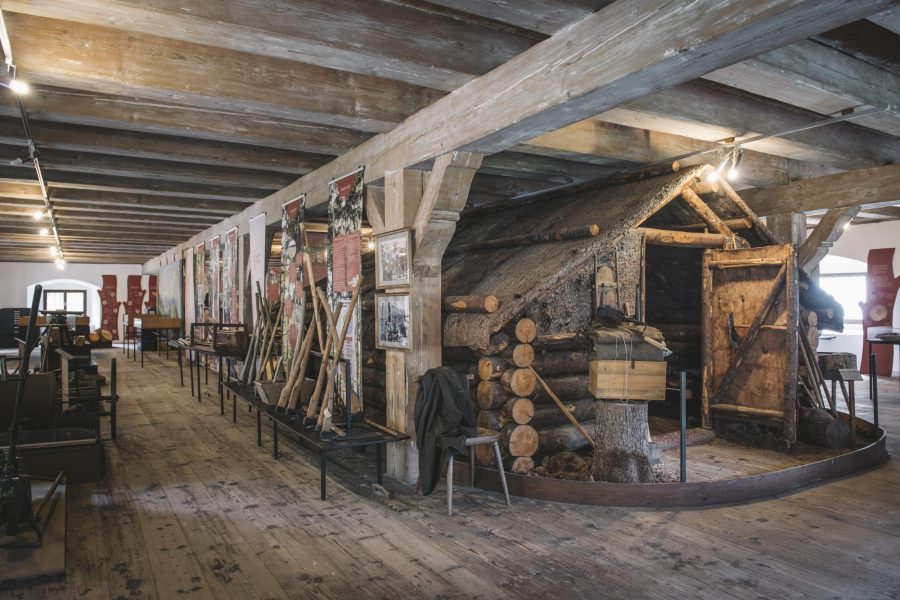 Österreichisches Forstmuseum „Silvanum“