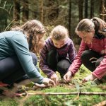 Im Tal der Schmetterlinge