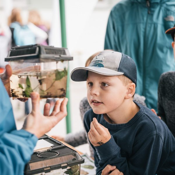 Biodiversität | Foto © Stefan Leitner Biodiversität | Foto © Stefan Leitner