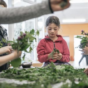 CSI PhänoBiota Projekte | Foto © Stefan Leitner