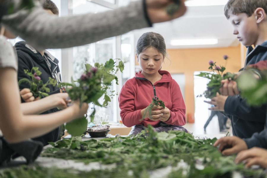 CSI PhänoBiota CSI PhänoBiota