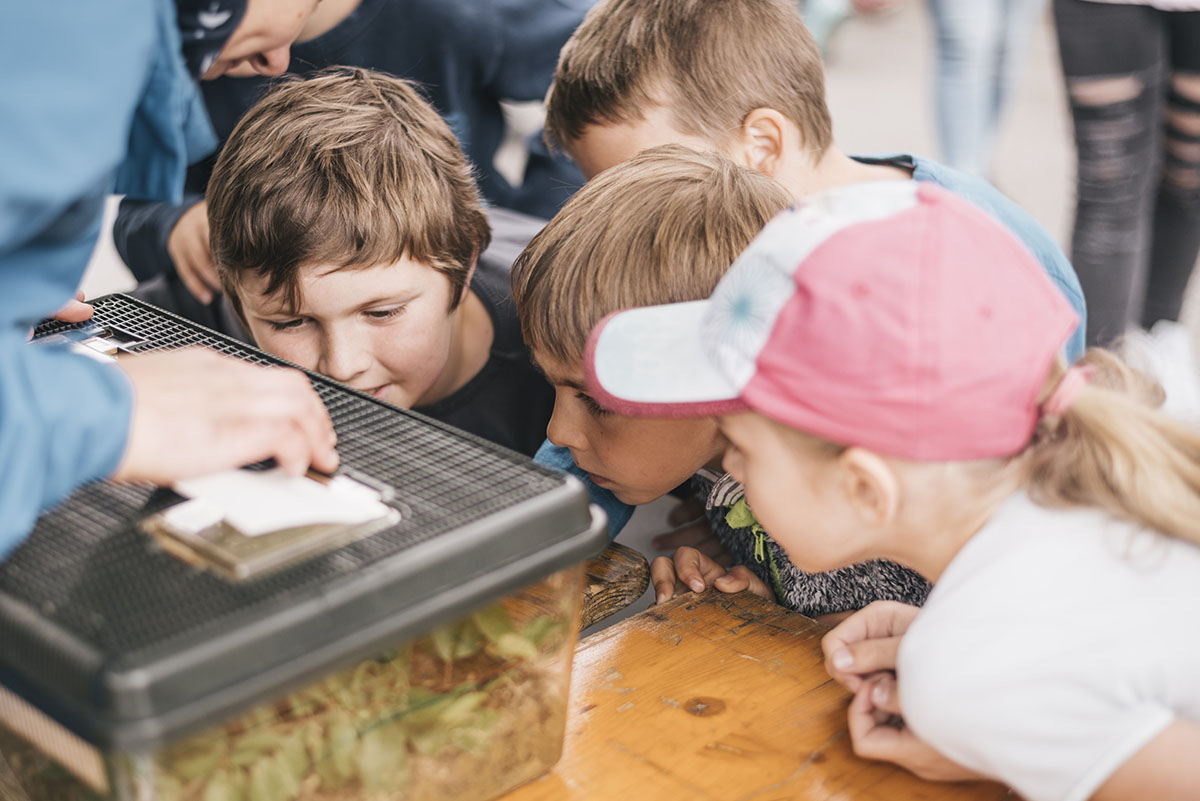 Kunterbunte Naturparkwoche Kunterbunte Naturparkwoche