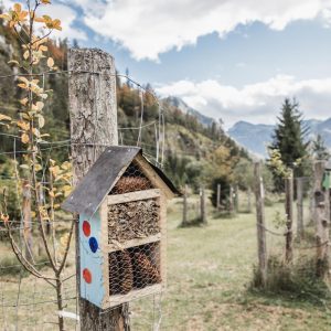 Streuobstgärten | Foto © Thomas Sattler