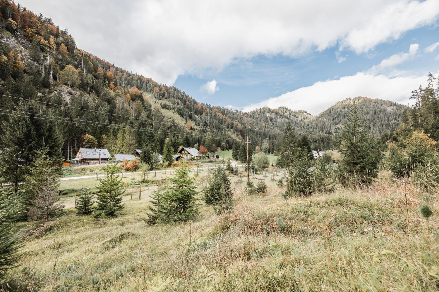 Streuobstwiese | Foto © Thomas Sattler Streuobstwiese | Foto © Thomas Sattler