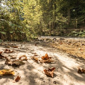 Zinkgraben - Naherholungsgebiet in Sankt Gallen | Foto © B. Nachbagauer