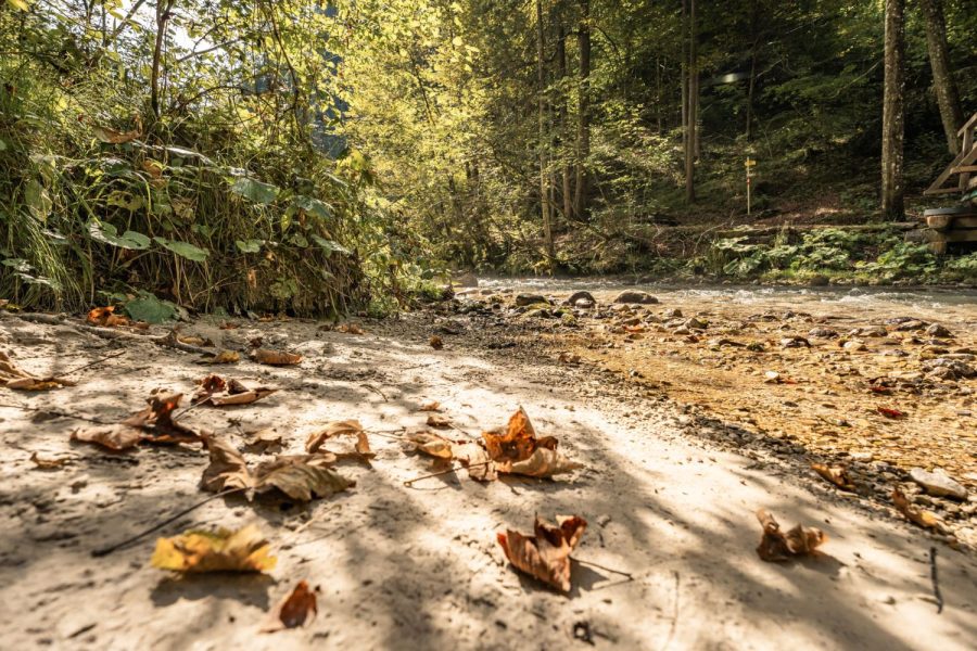 Zinkgraben – Naherholungsgebiet in St. Gallen Zinkgraben – Naherholungsgebiet in St. Gallen