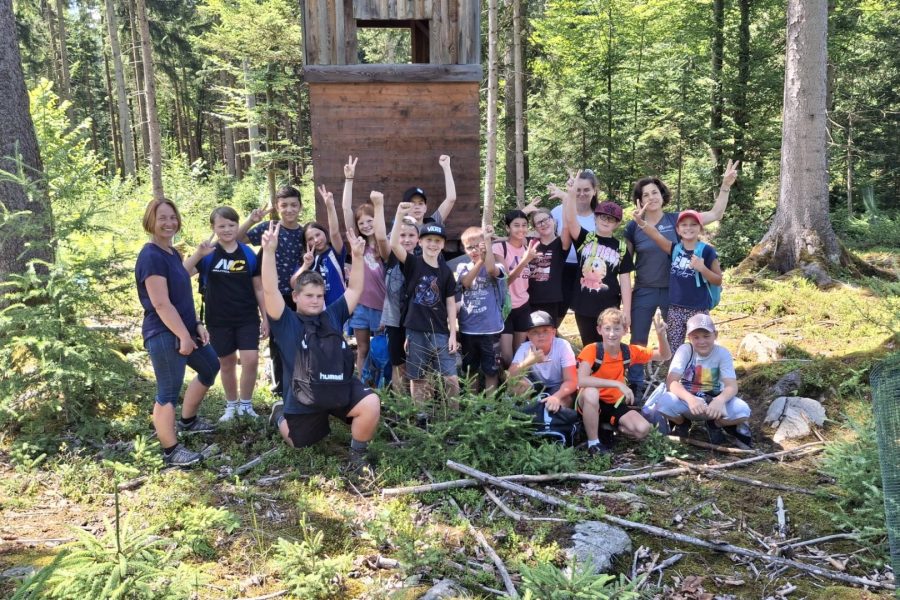 Waldexkursion Schulen (c) VS St. Gallen