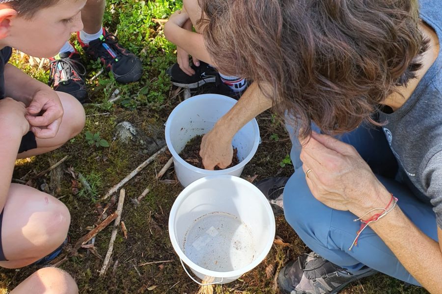 Waldexkursion Schulen Waldexkursion Schulen