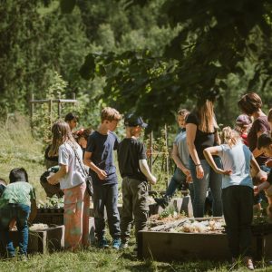 01) (Essbare) Biotope für Haus und Hof