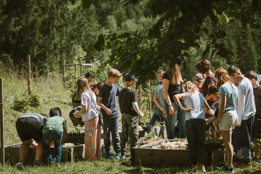 01) (Essbare) Biotope für Haus und Hof 01) (Essbare) Biotope für Haus und Hof