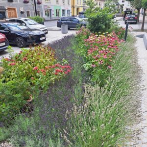 KLAR! Natur-und Geopark KLAR! Natur-und Geopark