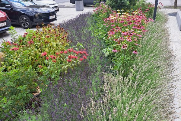 KLAR! Natur-und Geopark