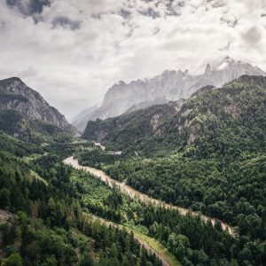 Artenreiche Eisenwurzen