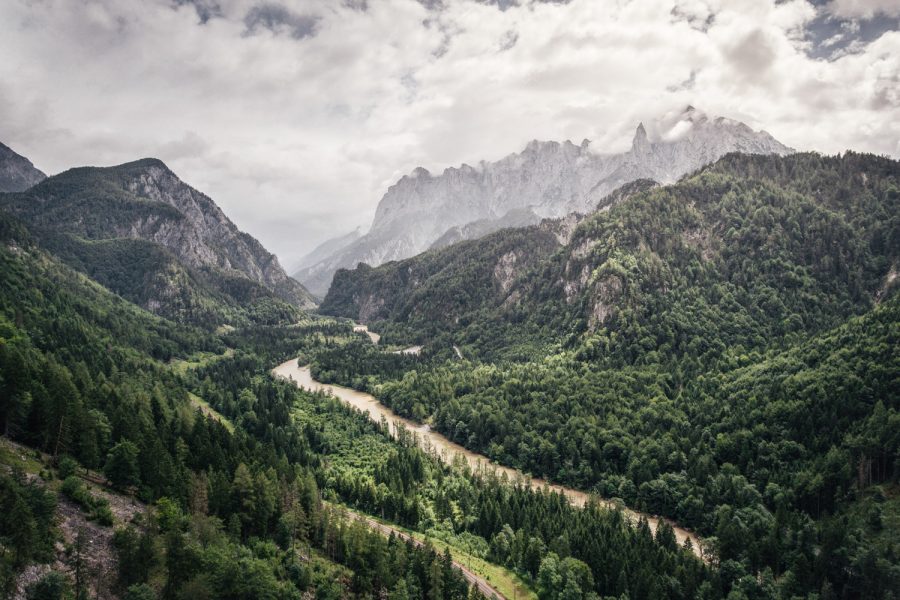 Artenreiche Eisenwurzen