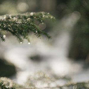 Multiplikator Naturschutz | Foto © Stefan Leitner