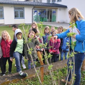 Aufladung Biodiversität